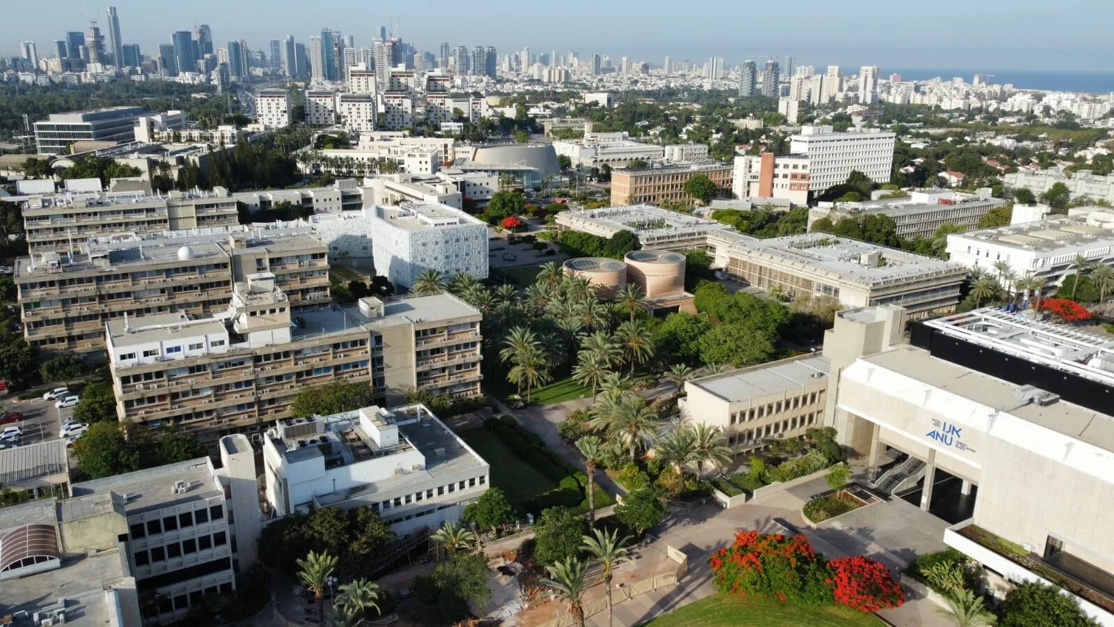 Tel university