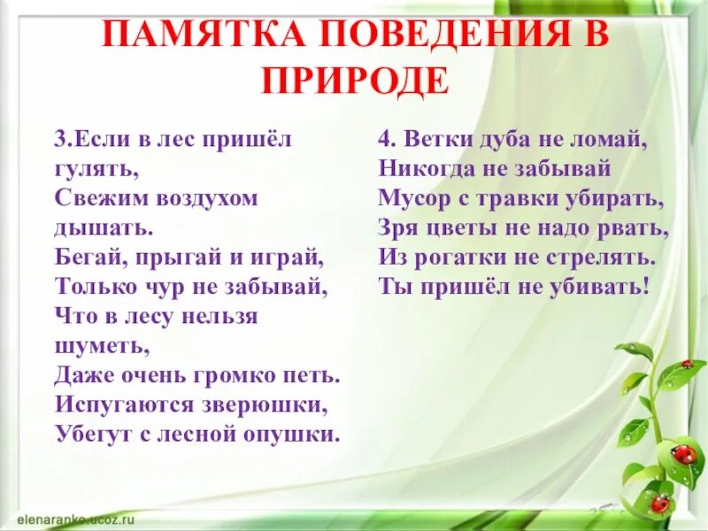 Правила про природу. Правила поведения в лесу в стихах. Стих о правилах поведения на природе. Памятка поведения на природе. Правила поведения вмприроде.