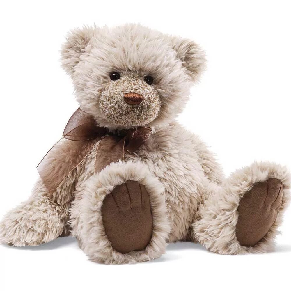 Have new toys. Тедди Беар. Плюшевый медведь Teddy Bear. Тедди Беар игрушка. Мишка Тедди игрушка белый.