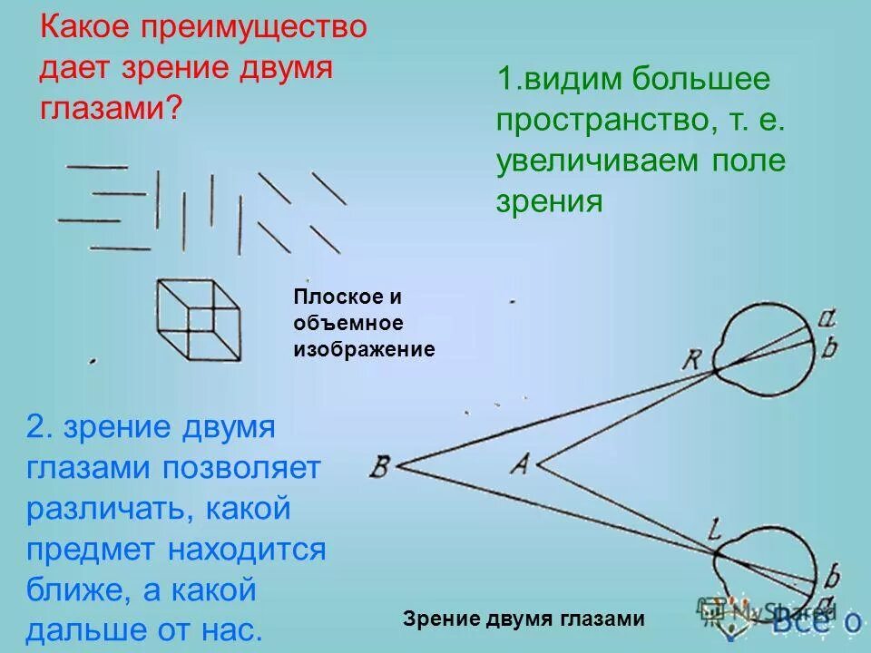 Какое преимущество дает зрение. Преимущество зрения двумя глазами. Преимущества зрения. Какие преимущества дает зрение двумя глазами?. 3. Какое преимущество даёт зрение двумя глазами?.