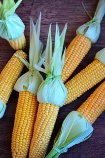 Гладкая форма кукурузы