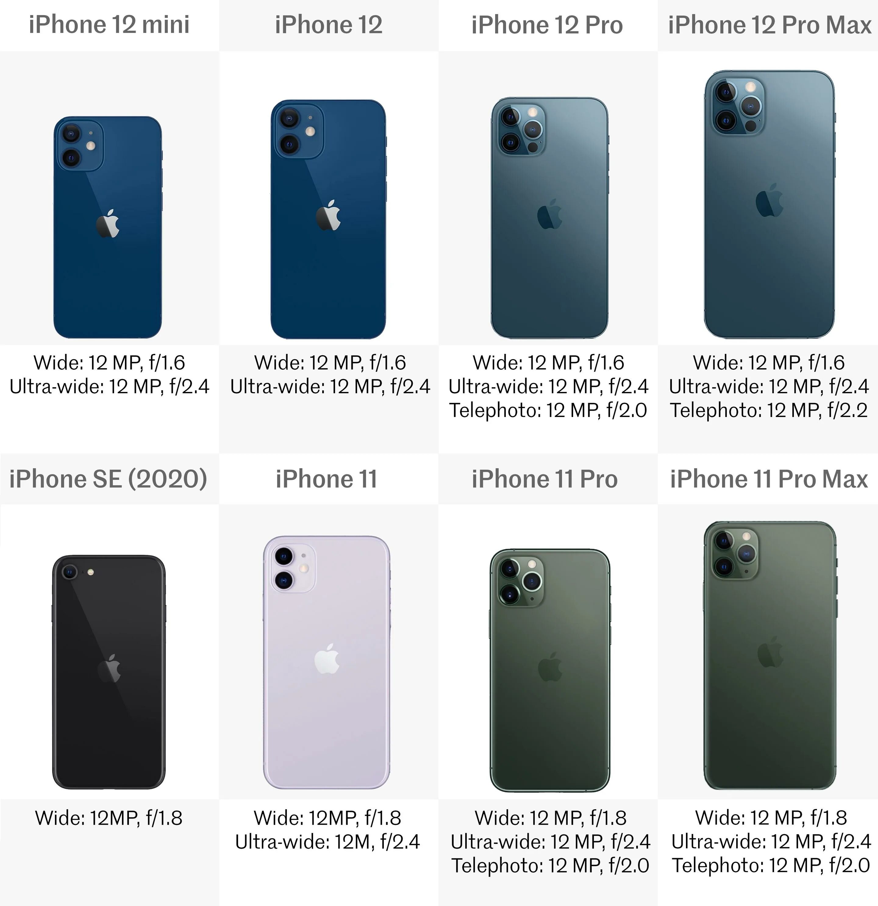 Iphone 13 отличия. Iphone 11 Pro vs 12 Mini. Iphone 12 Mini и iphone 11. Iphone 12 Mini Size. Iphone 12 vs 12 Mini.