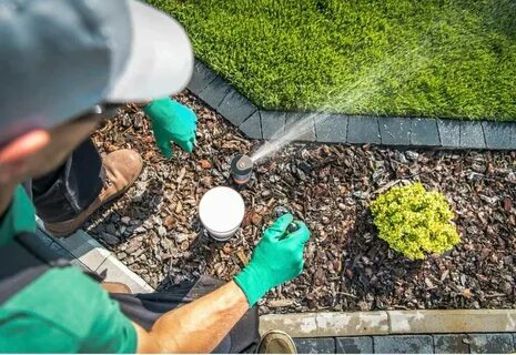 Irrigation System Installation in Dubai