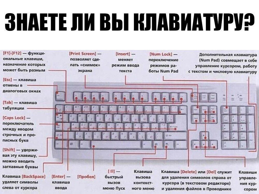 Не работают верхние цифры на клавиатуре. Расшифровка клавиатуры компьютера мини таблица. обозначения клавиш на клавиатуре компьютера. описание кнопок на пк клавиатуре. кнопка разблокировки клавиатуры компьютера.