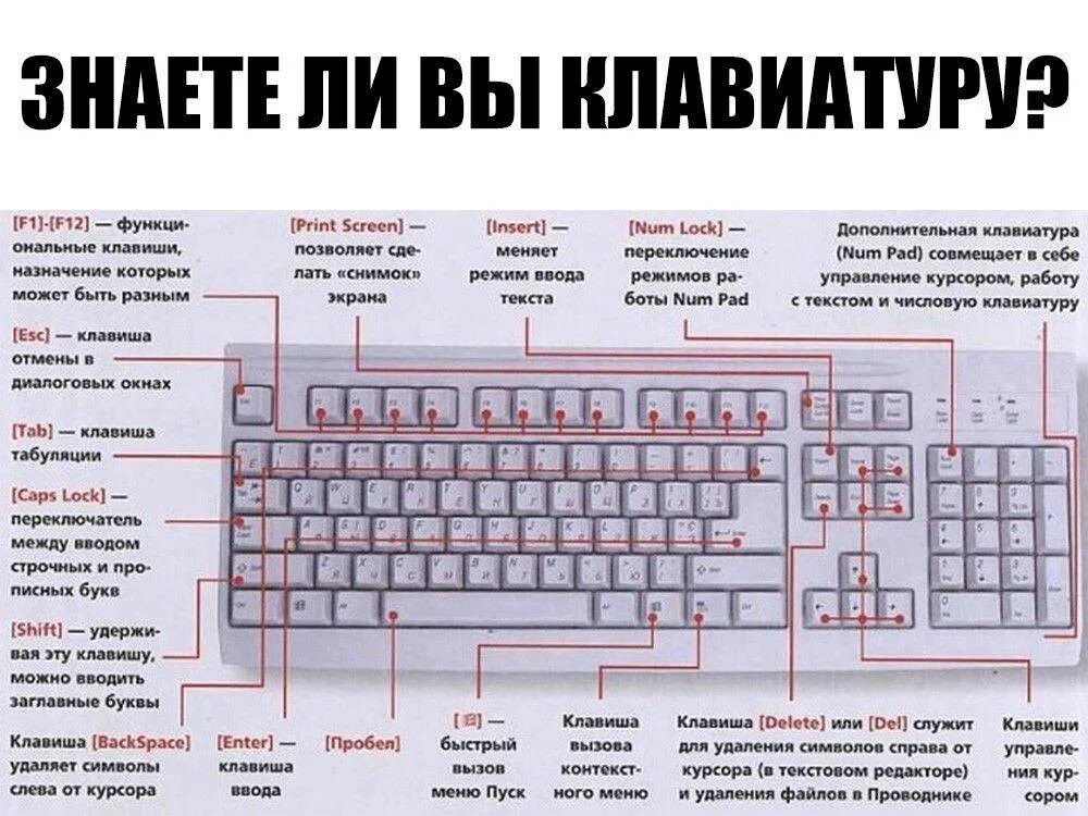 Как написать останавливается. Кнопка разблокировки клавиатуры компьютера. Как подключить клавиатуру сбоку ноута. Назначение кнопок компьютерной клавиатуры. Кнопки клавиатуры компьютера Назначение.