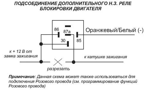 Сигнализация блокирует запуск двигателя: причины, что делать, как отключить блок