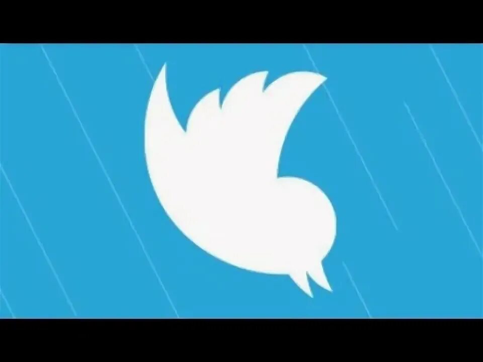 C twitter. Твиттер гиф. птичка твиттер. читатели в твиттере гифки. twitter, inc..