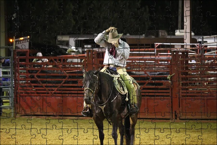 Rodeo speed