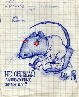 Крысы обижаются