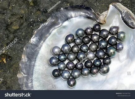 Включи черные жемчужины