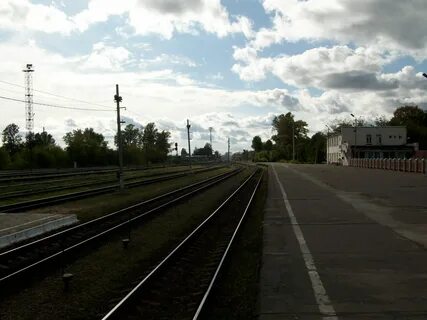 Ржев балтийский