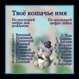 Давай придумаем другое имя для кота