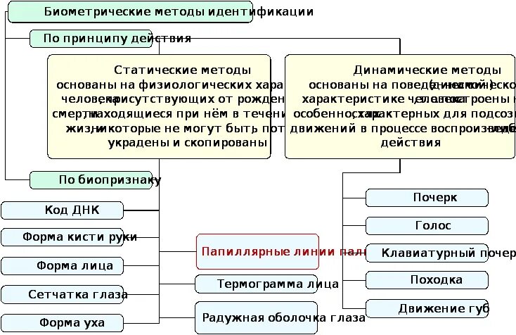 Средства идентификации личности. Классификация биометрических методов. классификация методов идентификации. методы идентификации личности. биометрические средства идентификации.