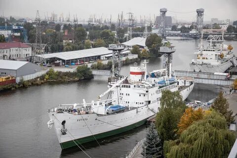 Витязь калининград