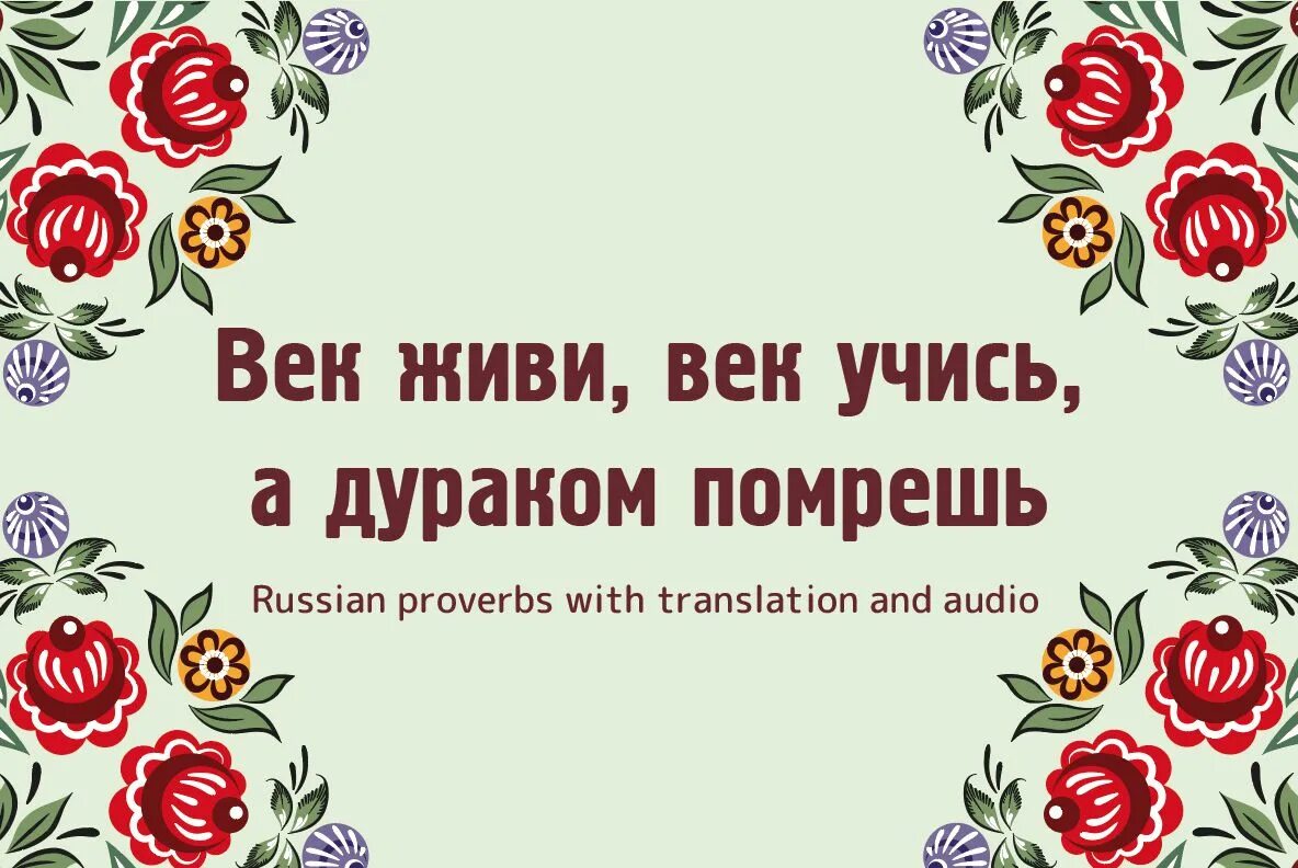 Век жизни век учись. Лучше горькая правда чем сладкая. Лучше горькая правда чем сладкая ложь. Век живи век учись. Век живи век учись дураком.