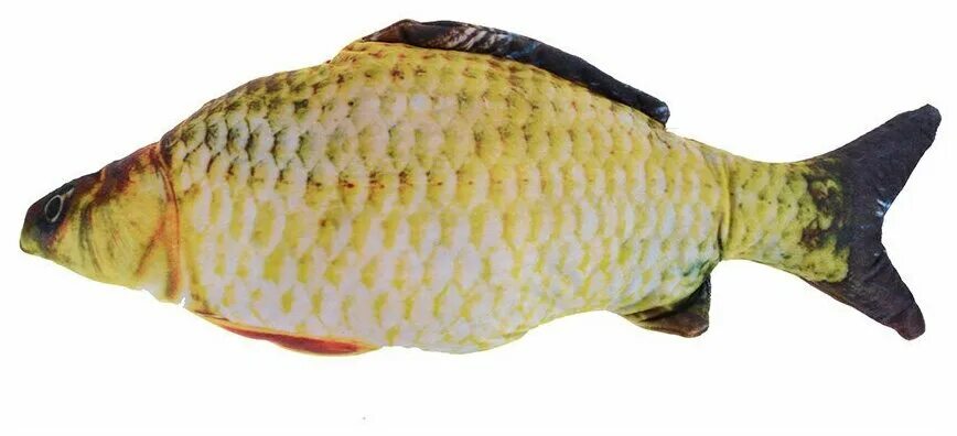 карп дома. карп живой. рыбалка на карпа. голодяевский пруд пенза. нивчанский карп.