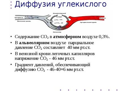 Диффузия кислорода и углекислого газа