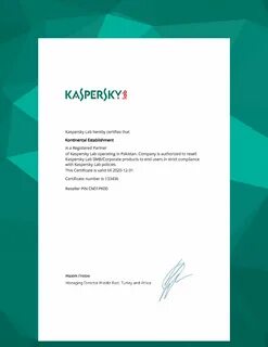 Partner kaspersky