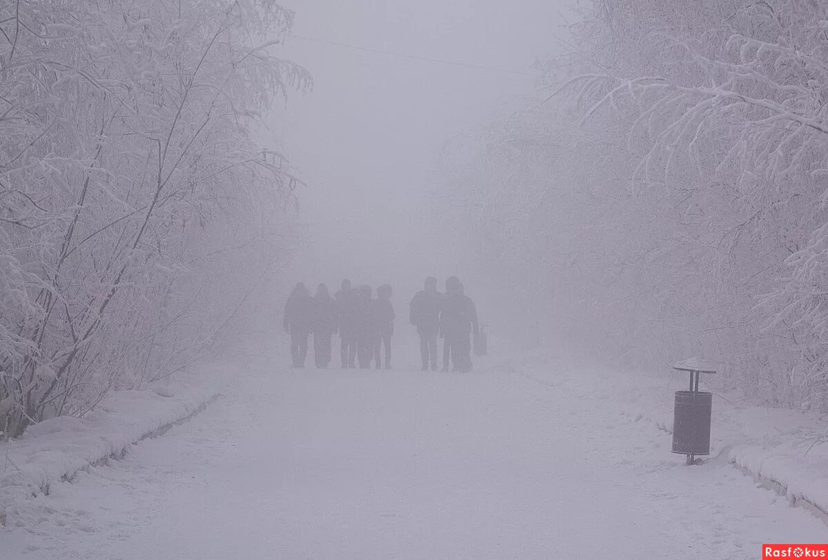 Город якутск зима. Якутские туманы. Туман в оймяконе. Туман в якутске. Якутск туман -50.
