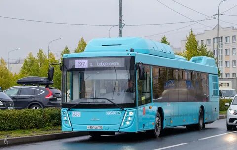 16 автобус спб