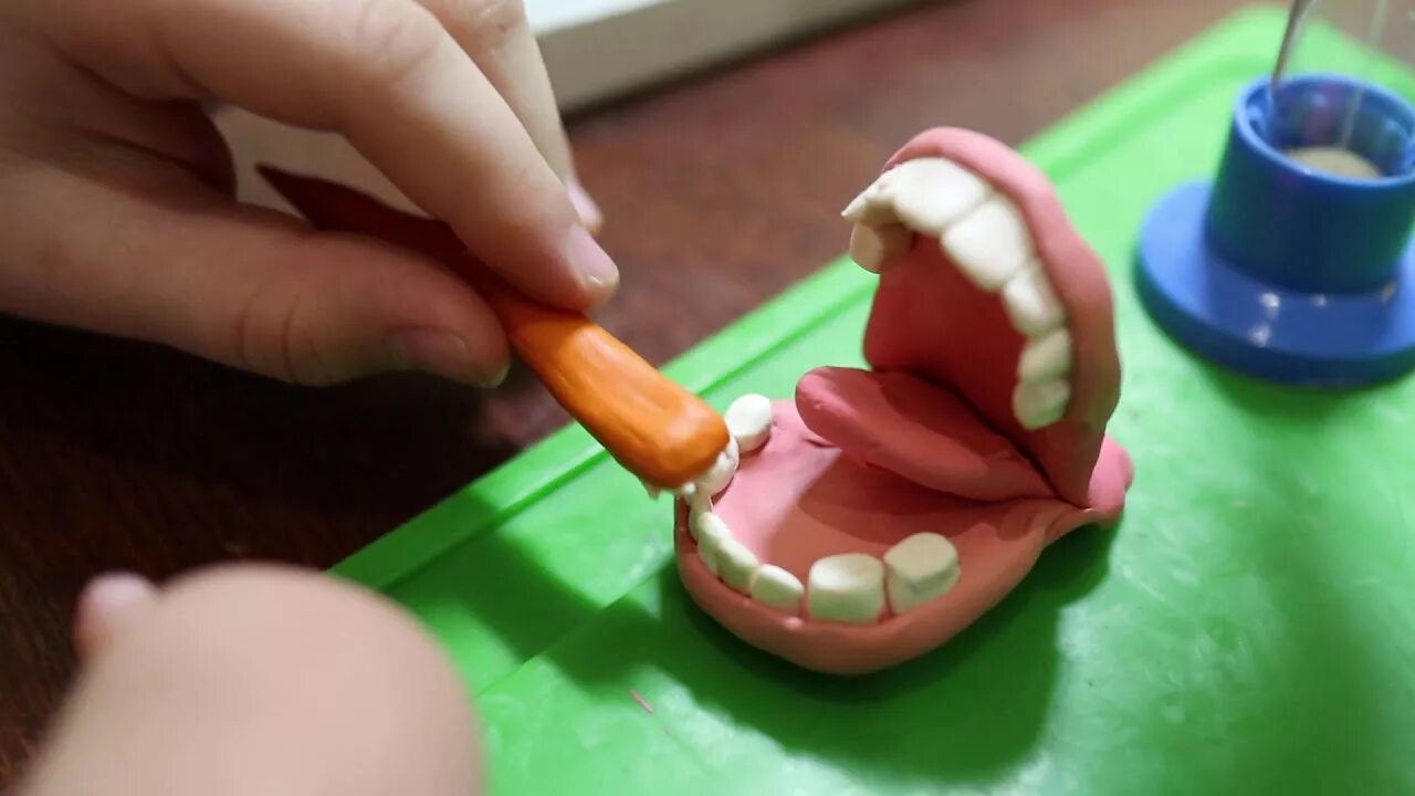 Номер из пластилина. Лепка зуба. Зуб из пластилина. Модели зубов из пластилина. Лепка зуба из пластилина.