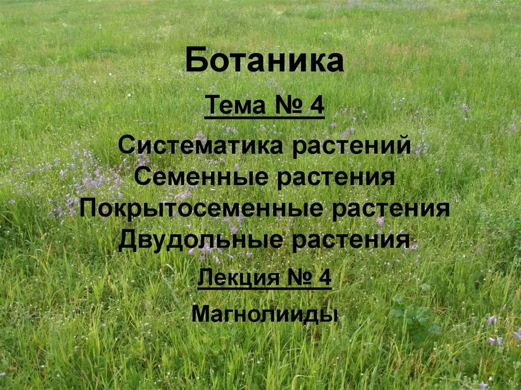 Семенные растения ткани. Систематика ботаника. Ботаника высших растений. Морфология и систематика растений. Систематика семенных растений.