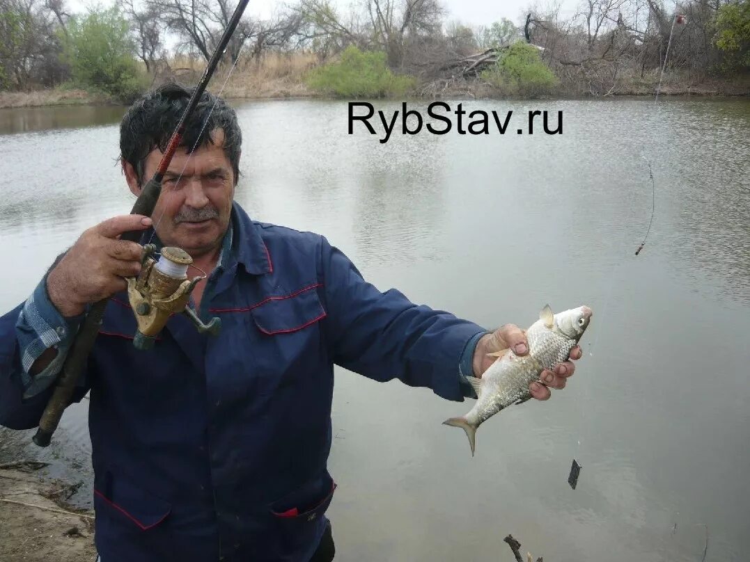 Снасть для ловли воблы весной в Астрахани. Снасть на воблу. Приманка вобла. Снасти на воблу весной в Астрахани. Лов воблы в астраханской области