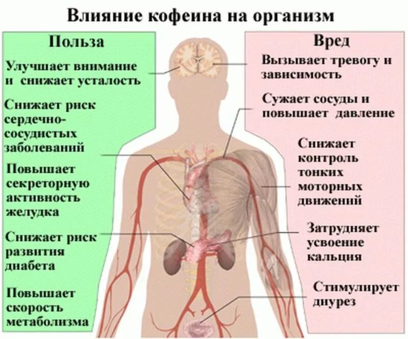 Можно ли после железа пить кофе. Влияние кофеина на организм человека. влияние кофе на организм человека. воздействие кофе на организм человека. как кофе влияет на организм.