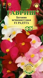 Бегония вечноцветущая семена