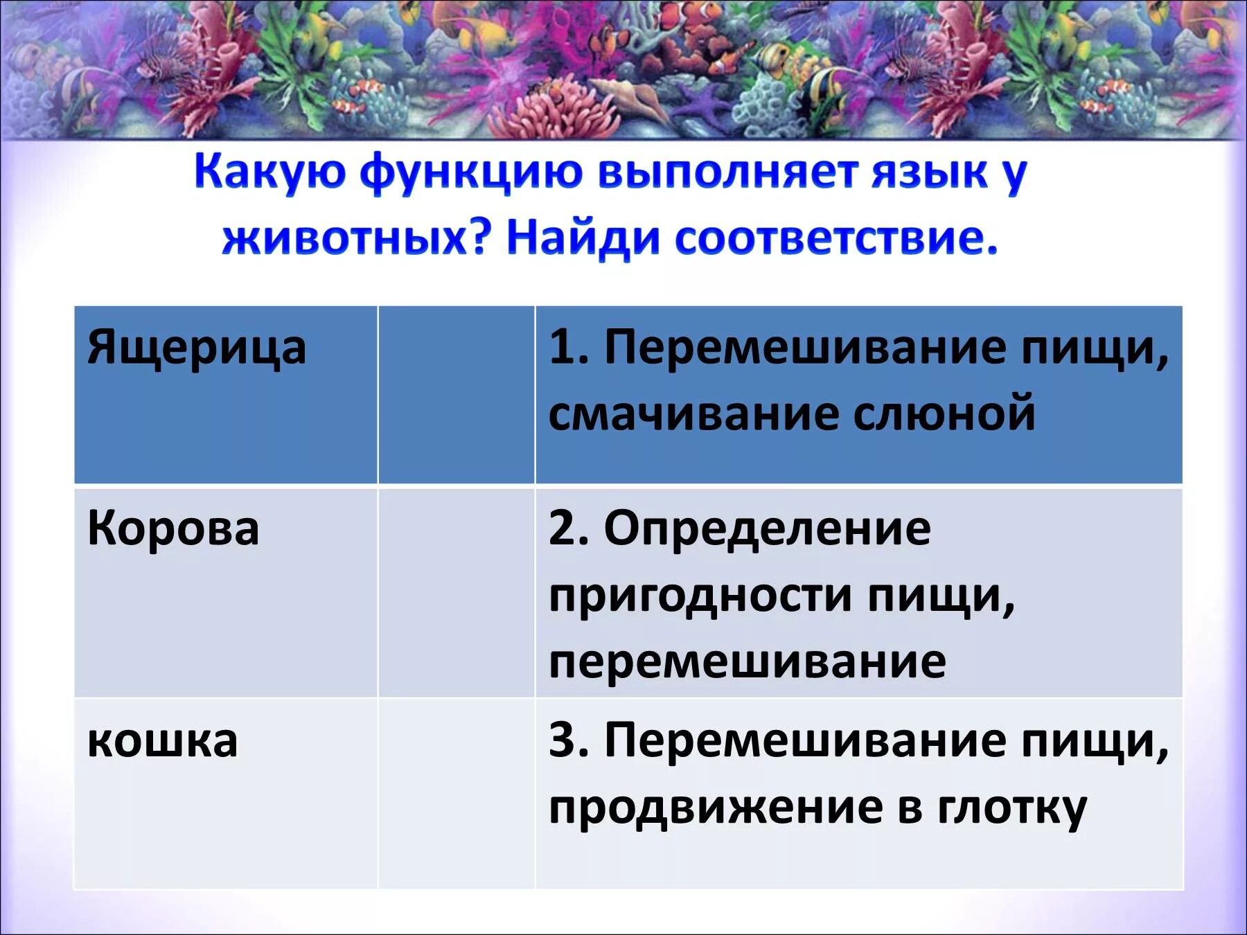 Какую функцию выполняет язык человека. Какие функции выполняет язык. функции языка животных. язык у животных какую функцию выполняет. какие функции выполняют животные.