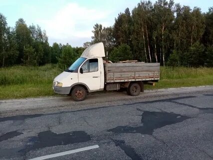 Нашли газель