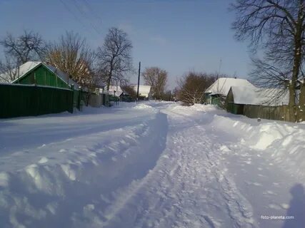 Погода кобылки