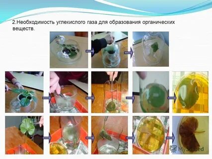 Опыты с углекислым газом