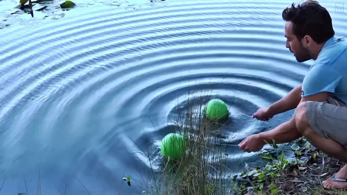 От поверхности воды 5 м. Интерференция волн на воде. Интерференционная картина на воде. Интерференция волн на воде gif. Интерференция волн на поверхности воды.