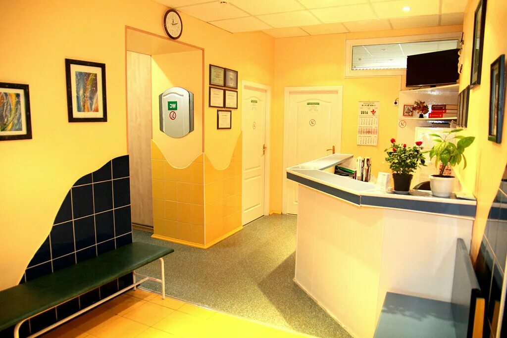 терра медика бор. терра медика бор. г бор ул фрунзе 26. терра медика бор. терра медика фото.