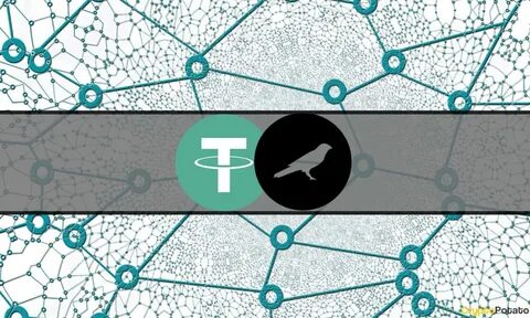 Сеть usdt