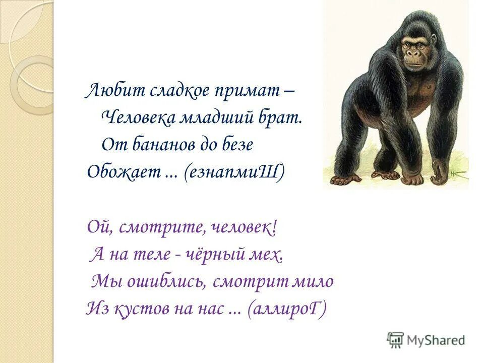 смешные короткие стишки. стих про кузнечика для малышей. загадка про кузнечика для дошкольников. и кузнечик побежал сдавать бутылки. смешные интересные стихи.