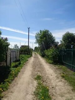 Балтийская пудость