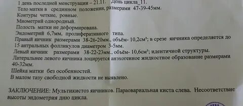 М эхо эндометрия