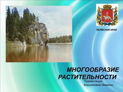 Тема пермский край