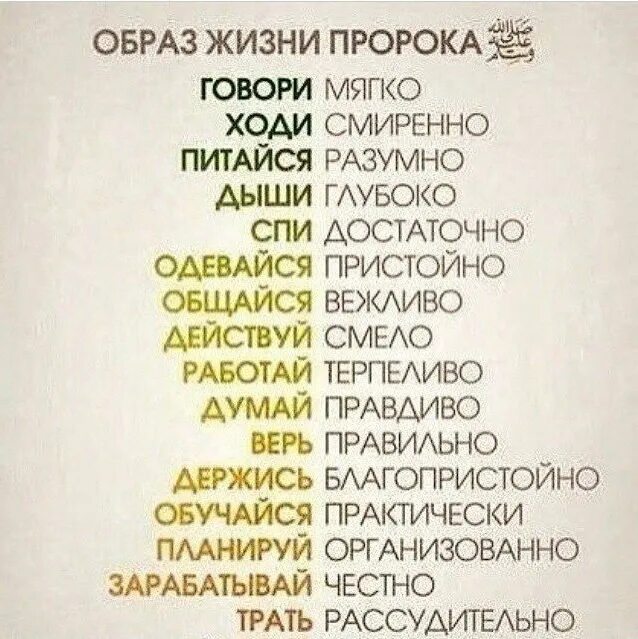 Про мусульманских пророков. Образ жизни пророка. Образ жизни пророка Мухаммада. Образ жизни пророка говори мягко ходи смиренно. Имена мусульманских пророков.