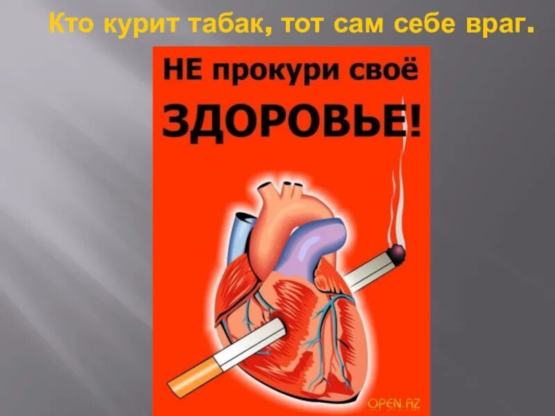 Курил махорку. Не прокури своё здоровье. Плакат не прокури свое здоровье. Нет курению. Рисунки, «не прокури своё здоровье».