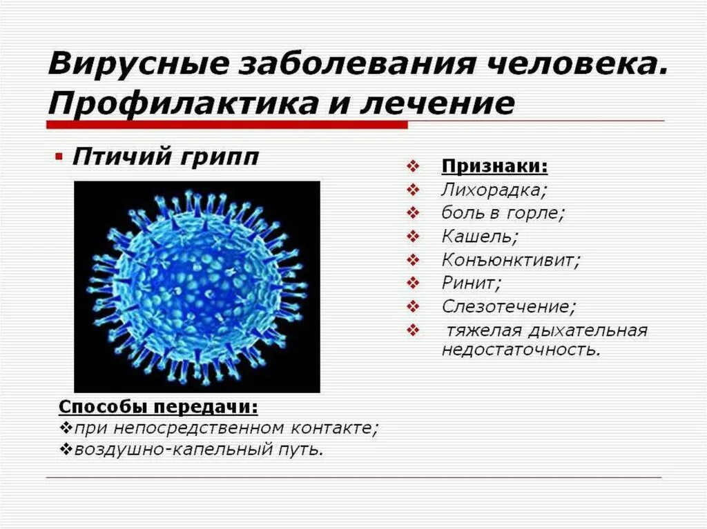 Вирусы и их заболевания. Формы вирусов. Вирусы неклеточные формы. Вирусы профилактика вирусных заболеваний. Легкая форма вируса