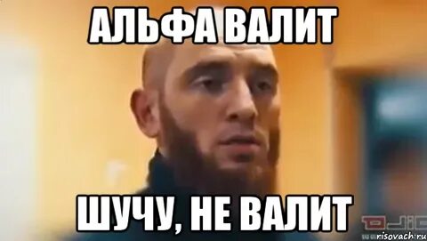 Слово шучу