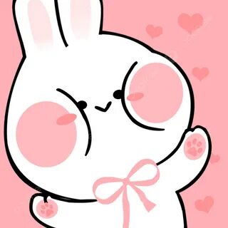 Cute fat rabbit