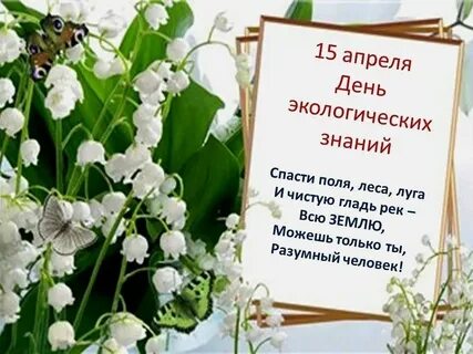 15 апреля женщина