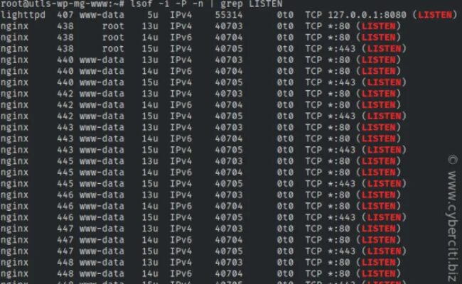 Filter tcp 443. Узнать номер порта tcp в линукс.