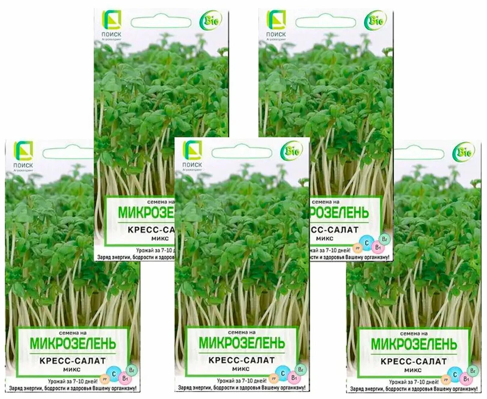 семена микрозелень дайкон микс 5. семена для микрозелени. семена для микрозелени. семена микрозелени руккола. семена для микрозелени.