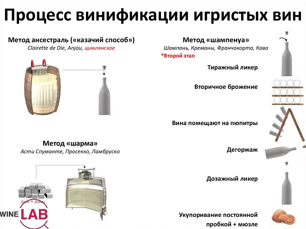 Схема производства игристого вина и шампанского. Этапы производства игристых вин. Технология производства игристых вин схема. Классический метод производства игристых вин. Изготовление шампанского