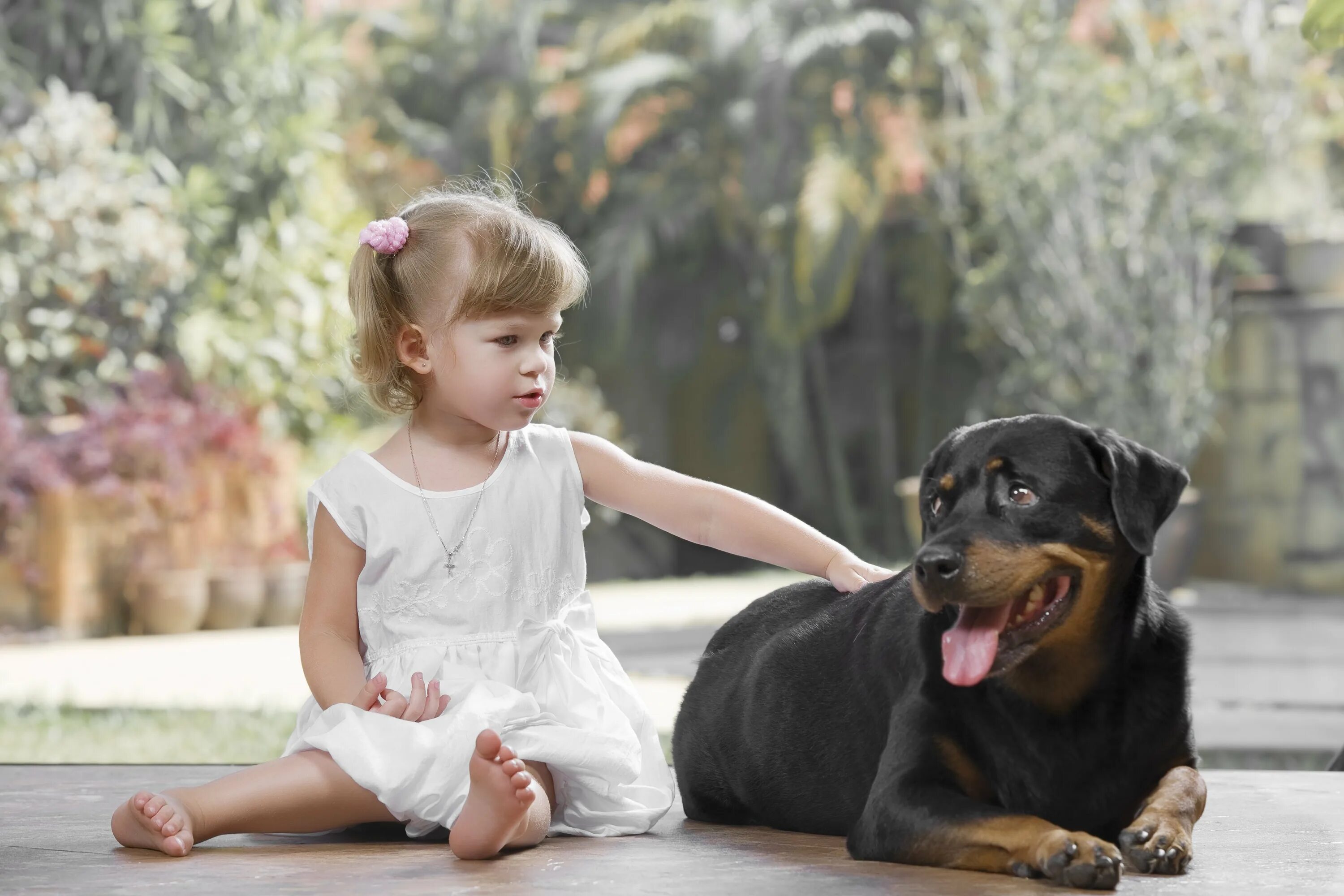 Домашние животные для детей. Девочка с собакой. Собака для детей. Девочка и щенок.